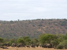 Western_Corridor2009-44